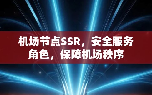 机场节点SSR,安全服务角色,保障机场秩序 机场节点SSR,安全服务角色,保障机场秩序