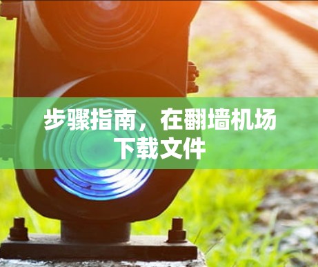 步骤指南，在翻墙机场下载文件