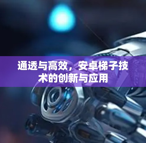 通透与高效，安卓梯子技术的创新与应用