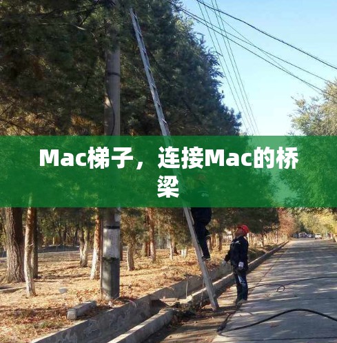 Mac梯子，连接Mac的桥梁