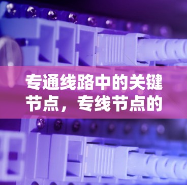 专通线路中的关键节点，专线节点的作用与影响