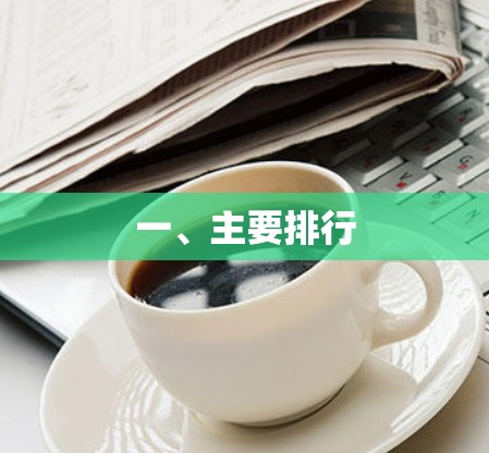 一、主要排行