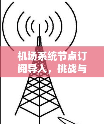 机场系统节点订阅导入，挑战与解决方案
