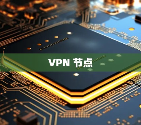 VPN 节点