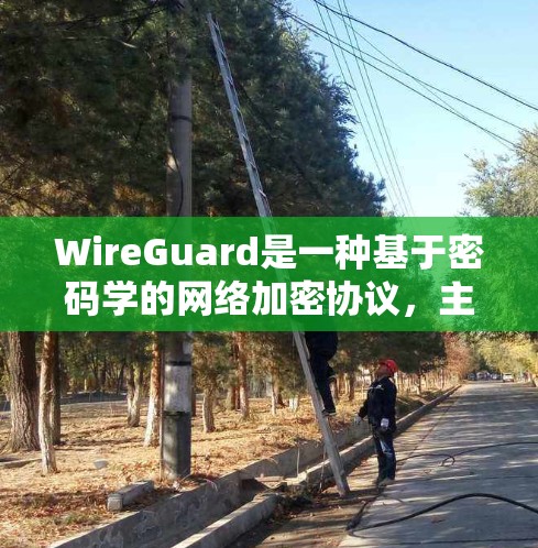 WireGuard是一种基于密码学的网络加密协议，主要用于提供安全的数据传输和加密通信。它可以用于构建网络设备，如路由器、交换机等，以实现加密通信、数据加密和数据流量管理