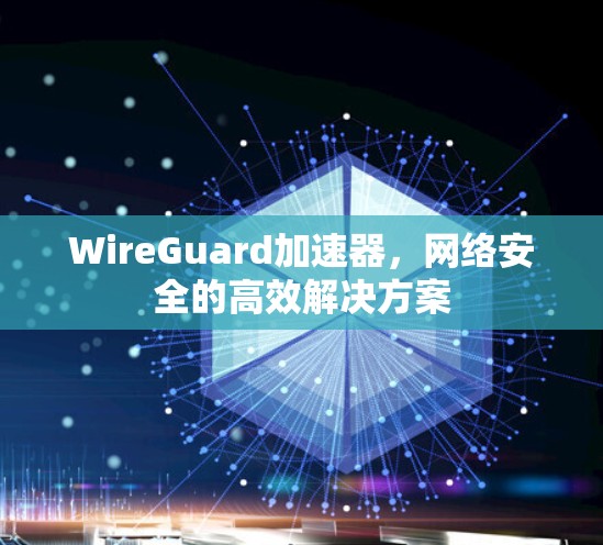 WireGuard加速器，网络安全的高效解决方案
