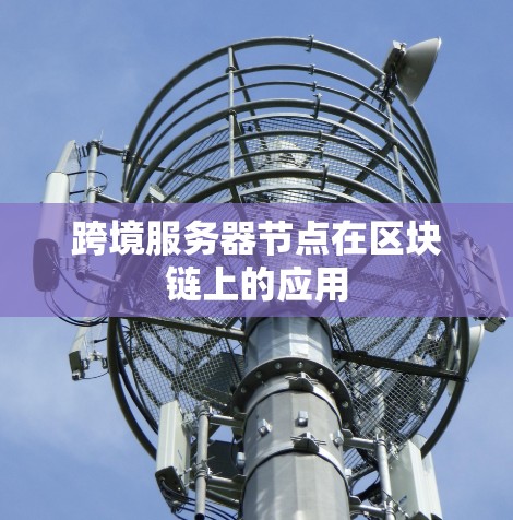 跨境服务器节点在区块链上的应用