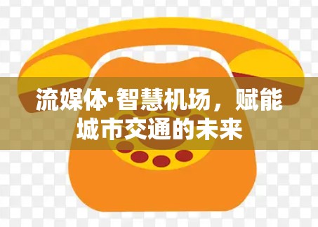 流媒体·智慧机场，赋能城市交通的未来