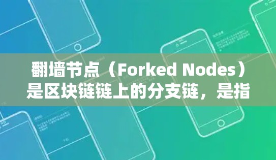 翻墙节点（Forked Nodes）是区块链链上的分支链，是指其中一个节点失败后，其他节点会自动连接到它，继续运行链式反应。以下是一些常见的场景和解决方案