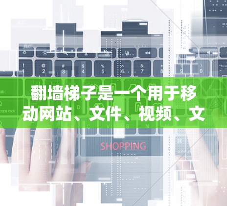 翻墙梯子是一个用于移动网站、文件、视频、文档等资源到另一端的工具，帮助用户更好地管理和访问互联网资源。以下是几种推荐的翻墙梯子类型及其特点，供您参考