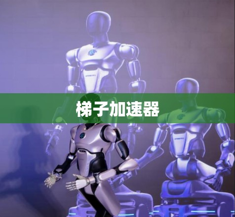 梯子加速器