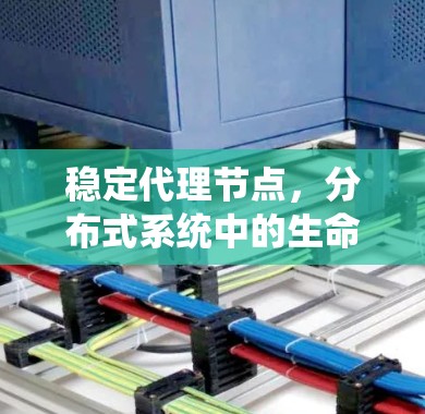 稳定代理节点，分布式系统中的生命之光