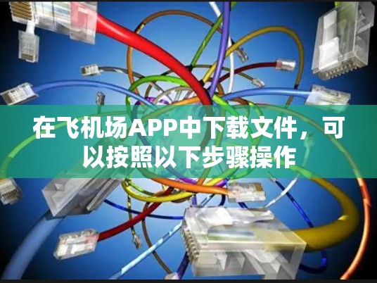 在飞机场APP中下载文件,可以按照以下步骤操作 在飞机场APP中下载文件,可以按照以下步骤操作