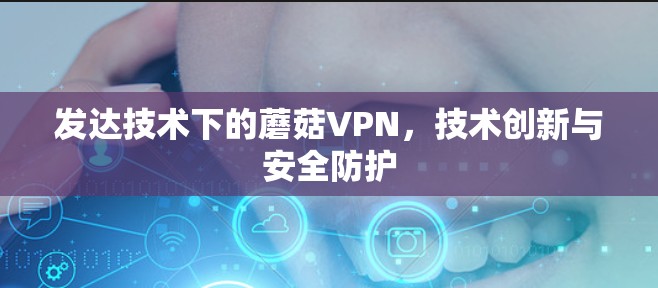 发达技术下的蘑菇VPN，技术创新与安全防护