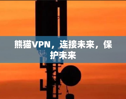 熊猫VPN,连接未来,保护未来 熊猫VPN,连接未来,保护未来