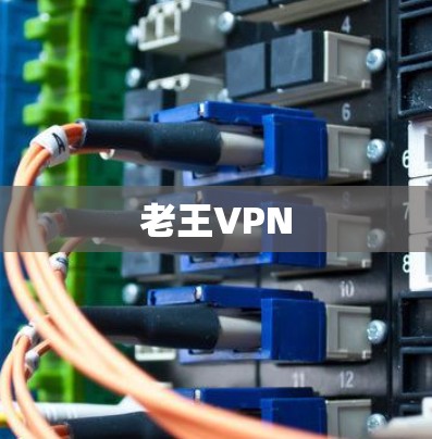 老王VPN