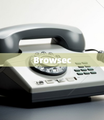 Browsec Browsec