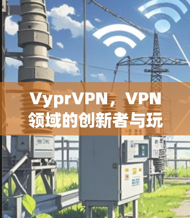 VyprVPN，VPN领域的创新者与玩家