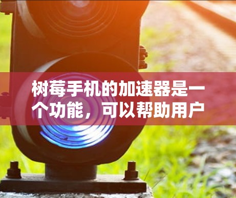树莓手机的加速器是一个功能，可以帮助用户加速应用的加载速度。以下是关于树莓加速器的详细介绍