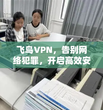 飞鸟VPN,告别网络犯罪,开启高效安全的VPN体验 飞鸟VPN,告别网络犯罪,开启高效安全的VPN体验