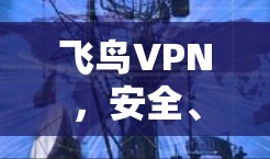 飞鸟VPN，安全、便捷，让您的网络更无忧