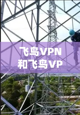 飞鸟VPN和飞鸟VPN代理是两个不同的VPN服务,它们在技术实现和用户体验上有显著差异。以下是对它们的详细对比 飞鸟VPN和飞鸟VPN代理是两个不同的VPN服务,它们在技术实现和用户体验上有显著差异。以下是对它们的详细对比