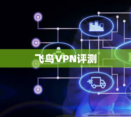 飞鸟VPN评测 飞鸟VPN评测