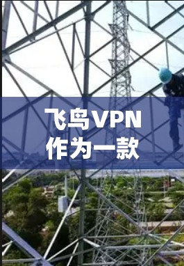 飞鸟VPN作为一款知名的VPN服务，近年来经历了多次功能的更新和调整，以满足用户对安全性和便捷性的需求。以下是一些常见的飞鸟VPN问题及其解决方案
