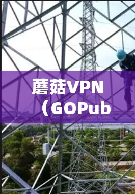 蘑菇VPN（GOPub）是一款全球知名的端到端加密VPN服务，提供多点网络服务，支持远程办公、视频会议、邮件传输等多种功能。蘑菇VPN的加密技术非常强大，能够对数据进行双重加密，确保数据的安全性
