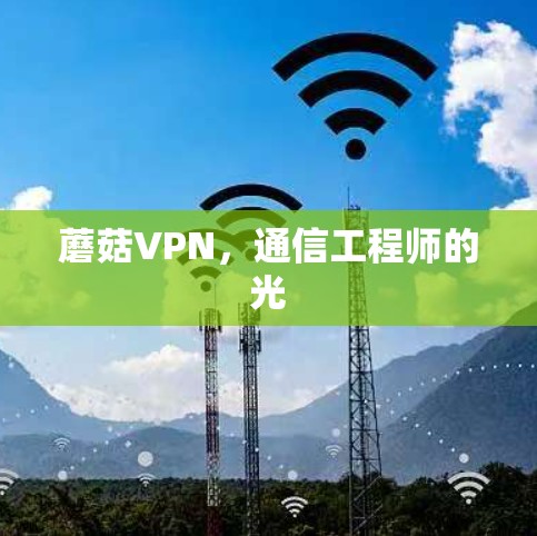 蘑菇VPN,通信工程师的光 蘑菇VPN,通信工程师的光