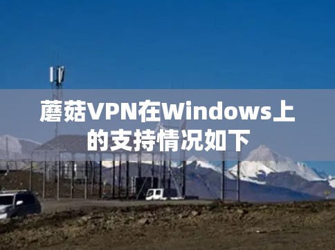 蘑菇VPN在Windows上的支持情况如下