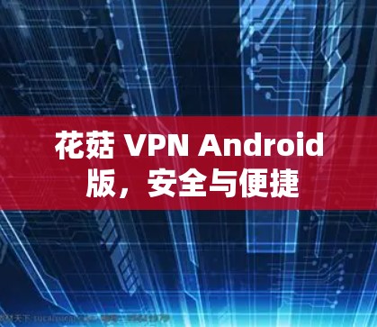 花菇 VPN Android 版，安全与便捷