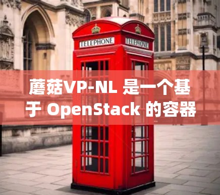 蘑菇VP-NL 是一个基于 OpenStack 的容器化微服务工具，旨在为开发者提供更强大的容器管理、微服务架构和资源监控功能。以下是关于蘑菇VP-NL 的详细信息