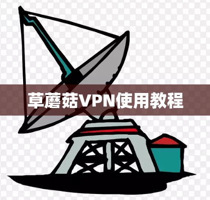草蘑菇VPN使用教程 草蘑菇VPN使用教程