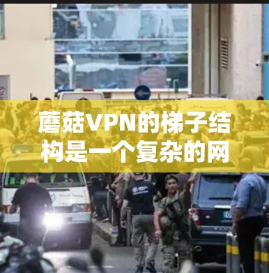 蘑菇VPN的梯子结构是一个复杂的网络配置，旨在提供安全且高效的VPN服务。以下是蘑菇VPN梯子的详细配置