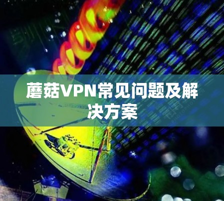 蘑菇VPN常见问题及解决方案