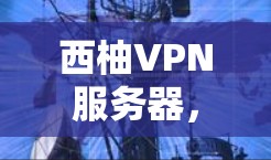 西柚VPN服务器,技术架构与性能优化 西柚VPN服务器,技术架构与性能优化