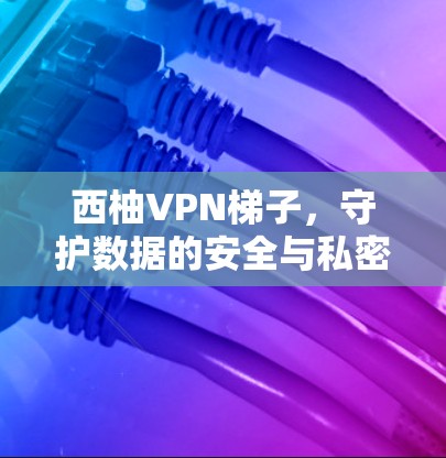 西柚VPN梯子，守护数据的安全与私密