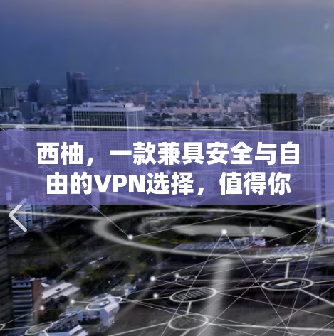 西柚,一款兼具安全与自由的VPN选择,值得你的考虑! 西柚,一款兼具安全与自由的VPN选择,值得你的考虑!