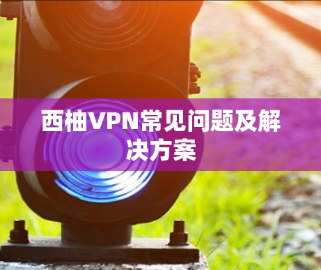 西柚VPN常见问题及解决方案 西柚VPN常见问题及解决方案