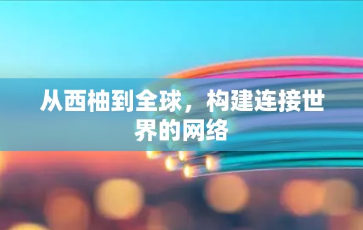 从西柚到全球，构建连接世界的网络