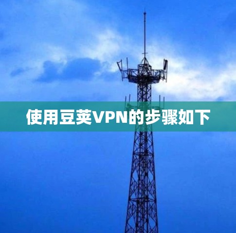 使用豆荚VPN的步骤如下