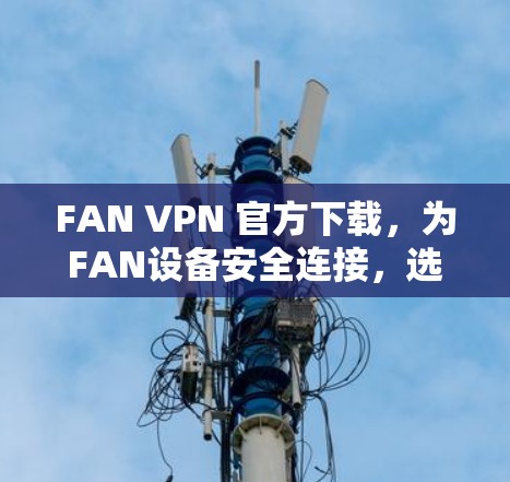 FAN VPN 官方下载，为FAN设备安全连接，选择专业的VPN服务
