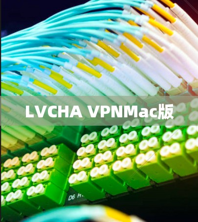 LVCHA VPNMac版 LVCHA VPNMac版