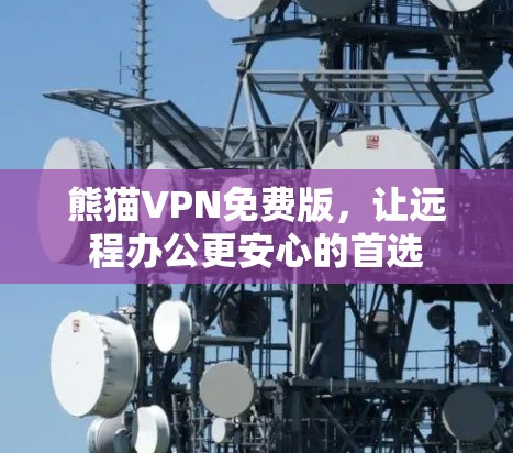 熊猫VPN免费版,让远程办公更安心的首选 熊猫VPN免费版,让远程办公更安心的首选