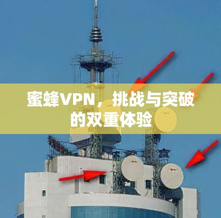 蜜蜂VPN,挑战与突破的双重体验 蜜蜂VPN,挑战与突破的双重体验