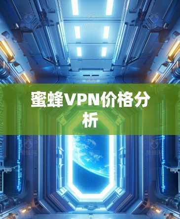 蜜蜂VPN价格分析 蜜蜂VPN价格分析