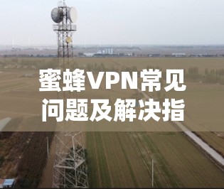 蜜蜂VPN常见问题及解决指南 蜜蜂VPN常见问题及解决指南