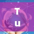 Turbo VPN梯子的配置是一个复杂的过程，但可以通过以下步骤来逐步操作