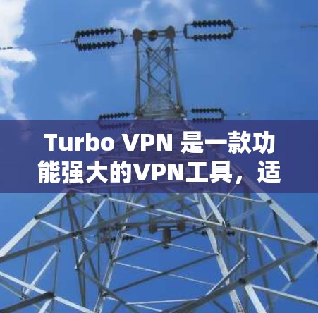 Turbo VPN 是一款功能强大的VPN工具，适合需要高效管理和控制网络环境的用户。以下是对Turbo VPN的总结和建议
